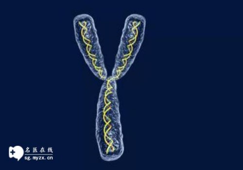 杭州试管供精：做好优生四项检查，生个健康又聪明的宝宝