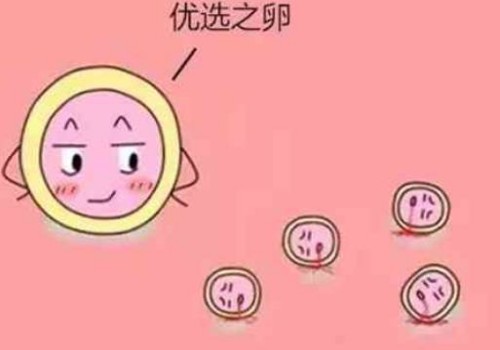 AMH与多囊卵巢综合征：高多囊AMH值的病因及预防