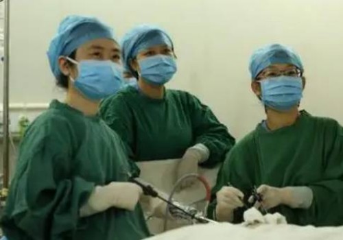 杭州正规代怀：试管怀孕初期私人推荐打什么针，文章揭开秘密