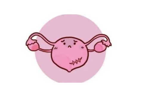 杭州助孕代怀生子：新生儿肝功能检查有必要，及时发现肝脏问题才能及时治疗