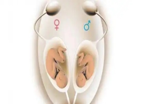 杭州代怀孩子：不同医院hcg误差三倍也别担心，和这三个因素有关别再不知道