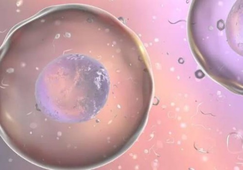 缺乏维生素D有什么危害，影响胚胎着床吗